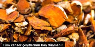 ÇAĞIMIZIN KORKUNÇ HASTALIĞI KANSERE SAVAŞ AÇAN 30 SÜPER BESİN!