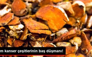 ÇAĞIMIZIN KORKUNÇ HASTALIĞI KANSERE SAVAŞ AÇAN 30 SÜPER BESİN!