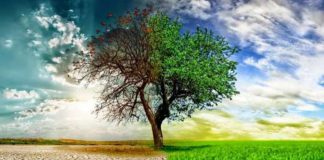 Beklenen Kış Gelmedi: İstanbul Son 40 Yılın En Sıcak Kasım Ayını Yaşıyor, Türkiye Kuraklık Etkisinde