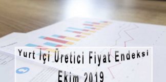 Yurt İçi Üretici Fiyat Endeksi, Ekim 2019