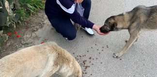 “Onlar da can, sahip çıkalım”