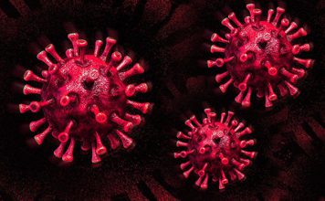 Dünya genelinde can kaybı 777 bin 470’e yükseldi