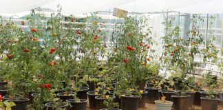 Rektör Özkan, Ziraat Fakültesi’ni Ziyaret Etti