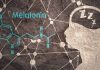 Melatonin Nedir? Faydaları Nelerdir?