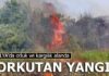 Otluk ve kargılık alanda korkutan yangın
