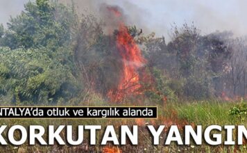 Otluk ve kargılık alanda korkutan yangın