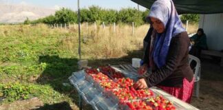 7 kadın kurdu, şimdi siparişlere yetişemiyorlar