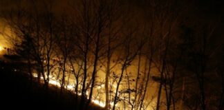 Güney Kore’deki orman yangınlarında ölü sayısı 28’e yükseldi