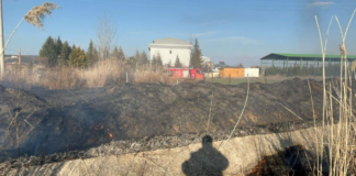 Otluk alanda korkutan yangın