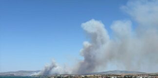 Çeşme’de orman yangını: Üç mahalle tahliye edildi