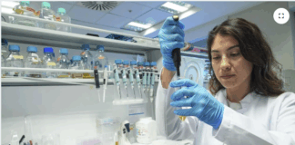 İzmir’den çığır açan başarı!