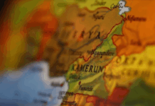 Dünyada bir ilk: Kamerun seçimi için Türkiye’den 15 milyon promosyon ürün talebi