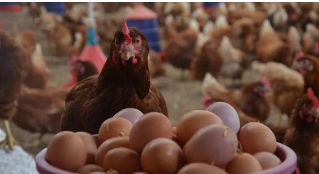 resim_2025-10-01_213441944