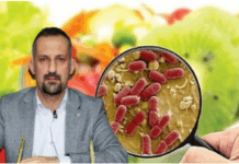 Türkiye’de gıda güvenliği alarm veriyor: “Ekonomik kriz zehirlenme riskini artırdı”