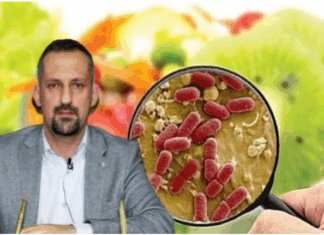 Türkiye’de gıda güvenliği alarm veriyor: “Ekonomik kriz zehirlenme riskini artırdı”