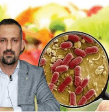 Türkiye’de gıda güvenliği alarm veriyor: “Ekonomik kriz zehirlenme riskini artırdı”