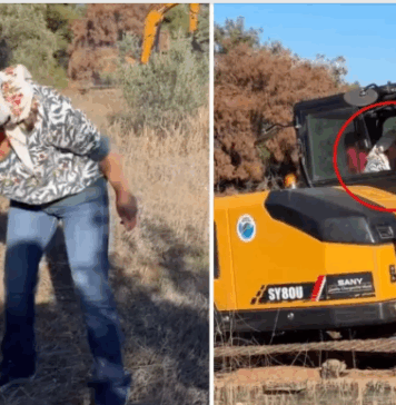 Köye yerleşen Nurgül Yeşilçay, yeni hayatından kesitler paylaştı